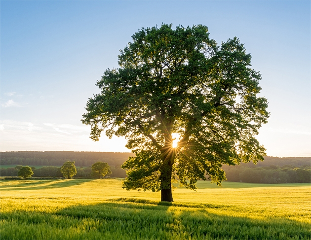 佰利乐(中国区)有限公司官网